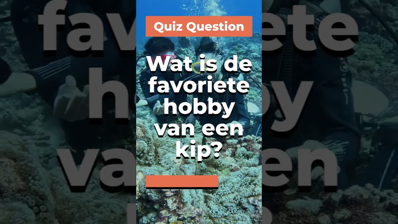 Zelfs kippen hebben een hobby. En ja, het is net zo leuk als het klinkt! 😂