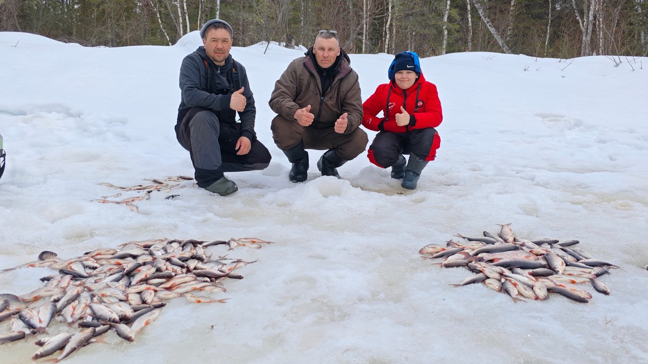 Если не эта таёжная речушка домой бы поехали без рыбы.
