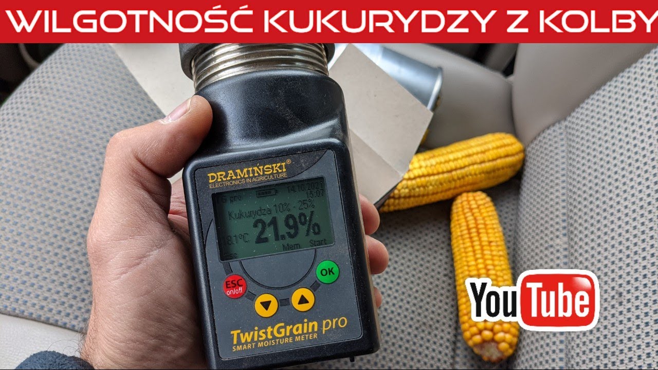 #561 Coś kupiłem - sprawdzam wilgotność kukurydzy z kolby