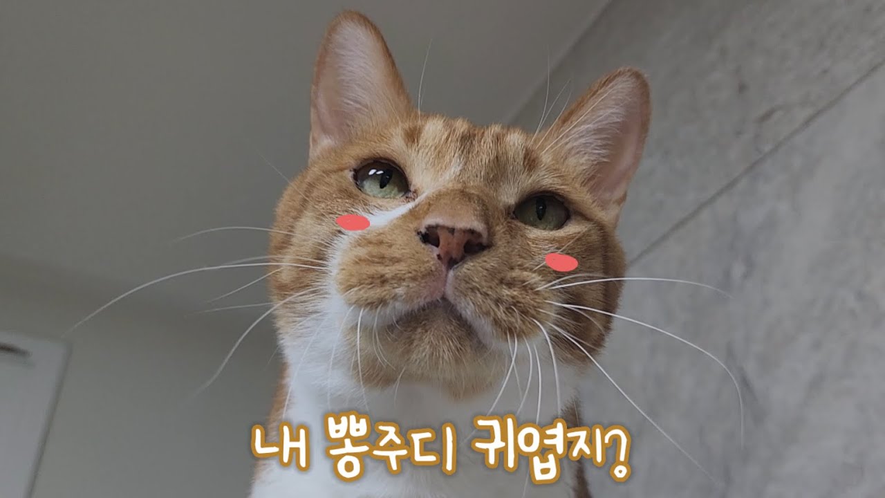 내 뽕주디가 귀여우면 나 좀 보구 가...나갈 땐 불 꺼줭 잘꺼니까...