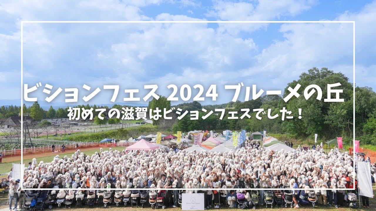 【vlog】ビションフリーゼフェスティバル2024ブルーメの丘へ行ってきました！【ビションフリーゼ】【滋賀】