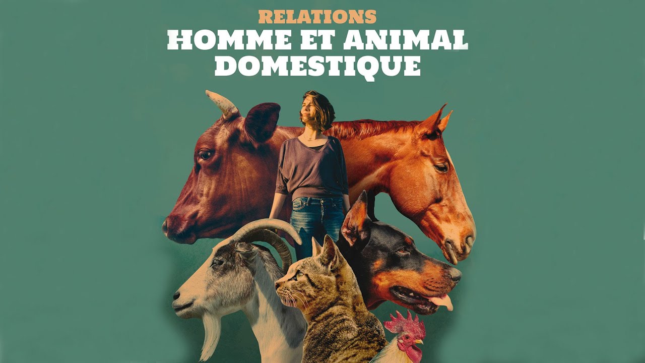 Planète conférences - Les différentes facettes de la relation Homme-Animal domestique