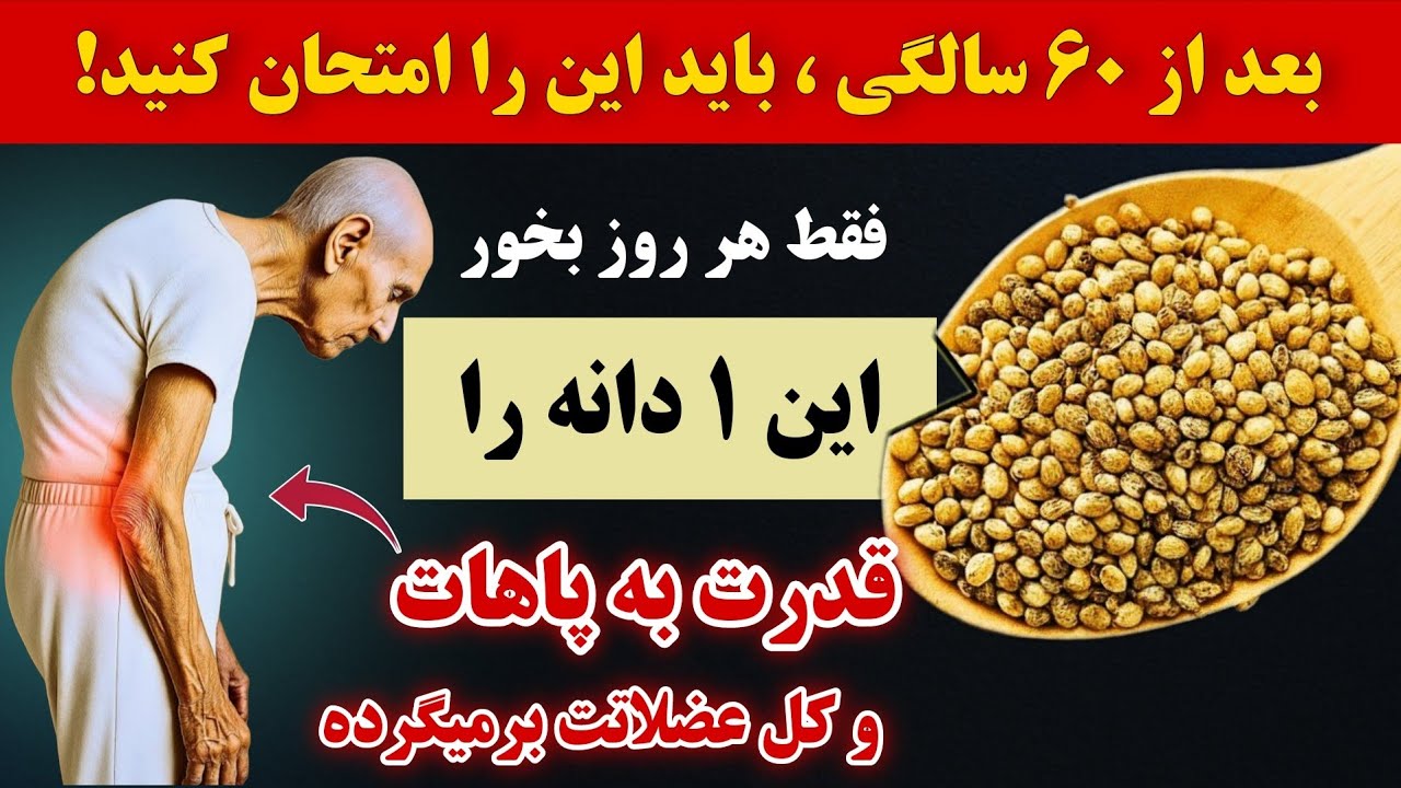 ارزان‌ترین غذا که هر بزرگسال و سالمندی باید بخورد تا استخوان ها و عضلاتش را تقویت کند!🔥