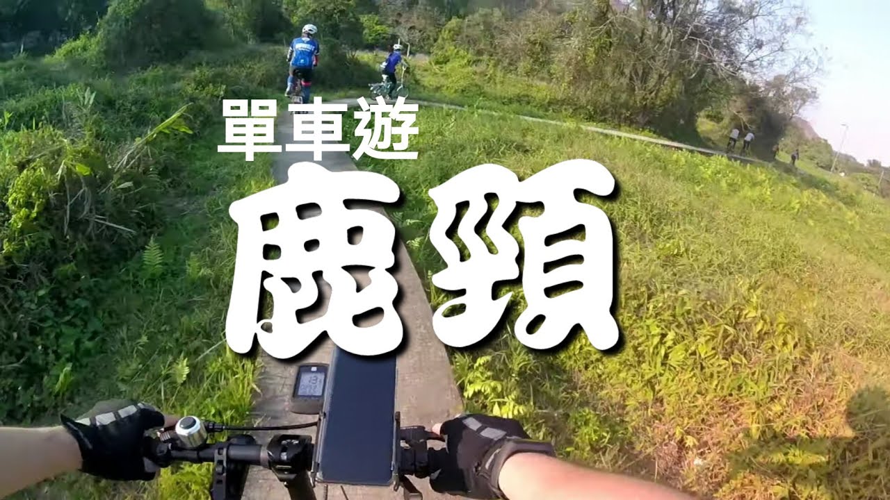 【Dahon】【 Brompton】 沙田+上水+鹿頸 + 大尾篤50公里單車遊 Shatin, Sheung Shui, Luk Keng and Tai Mei Tuk 50KM Cycling!