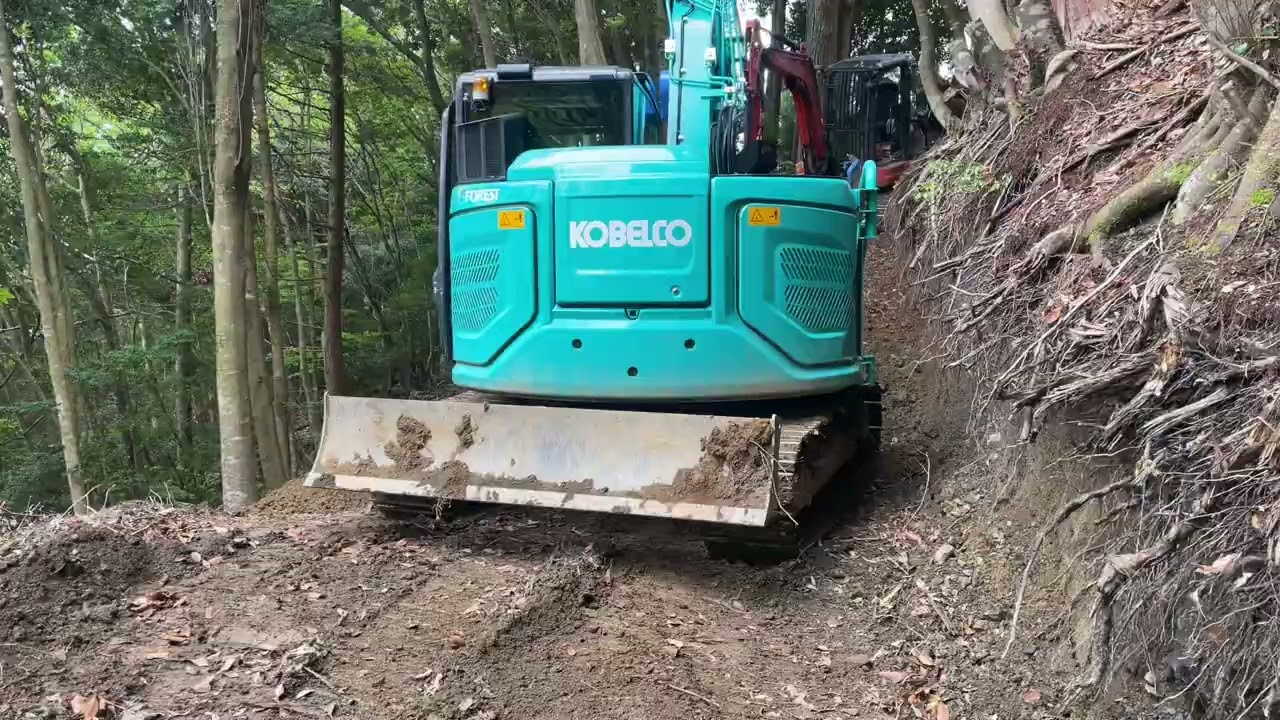 Haciendo camino 5/12