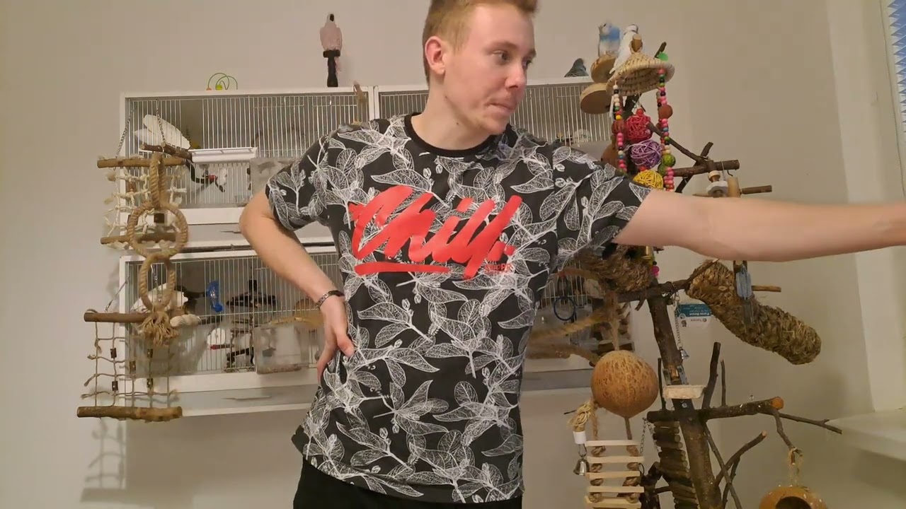 Andulka v noci pad&aacute; z bidelka, věděli jste že i andulky maj&iacute; sny?