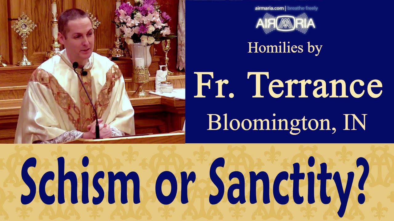 SSPX vs. The Saints - Nov 15 - Homily - Fr Terrance