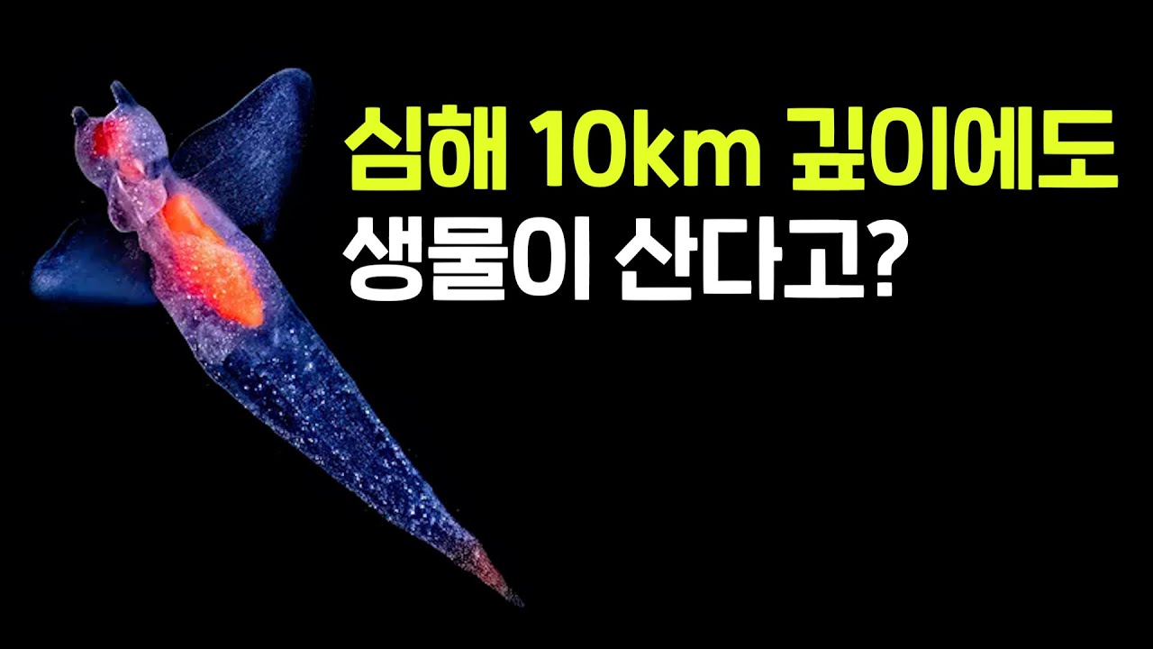 심해 10km 깊이에 생물이 산다고?