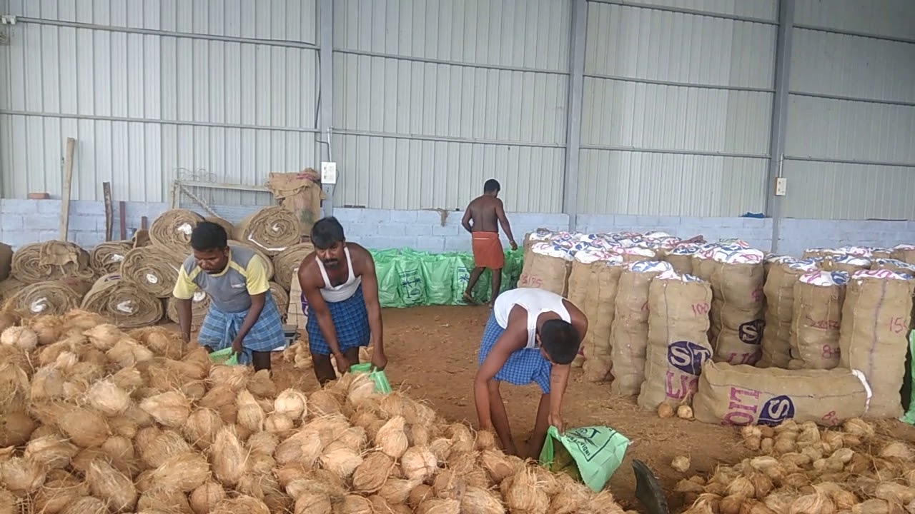 Pollachi coconut export(what's app 9942146889)