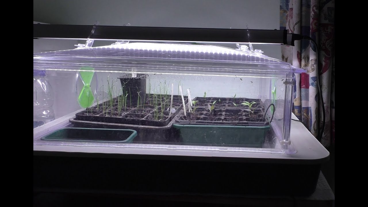 Chilli & Leek Update