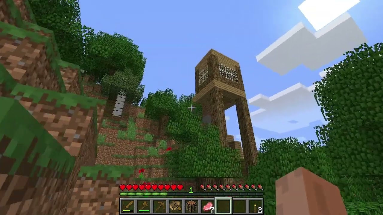 weird minecraft version