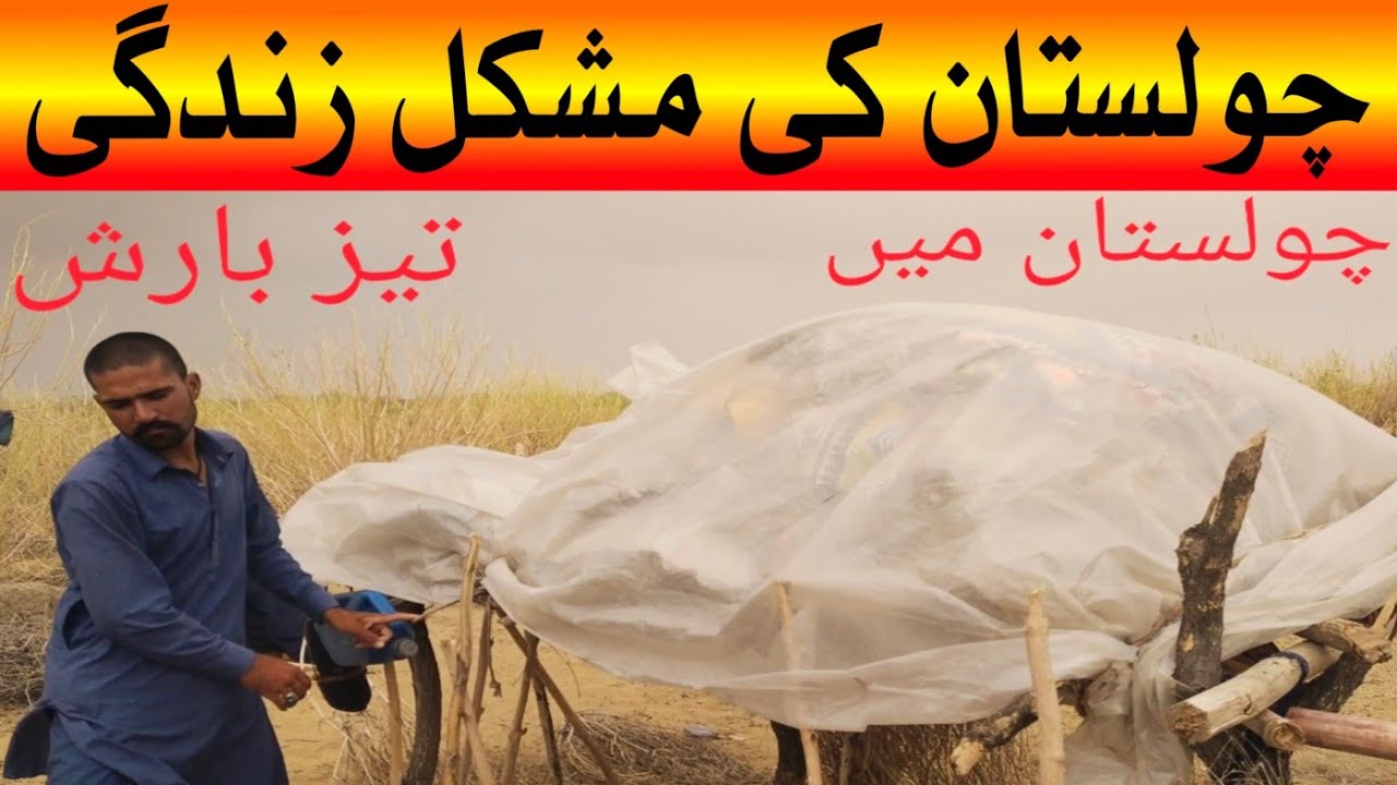 Very Popular No.1 Village Lifestyle of Remote Area Pakistan | Pakistan village life | Rural life pak