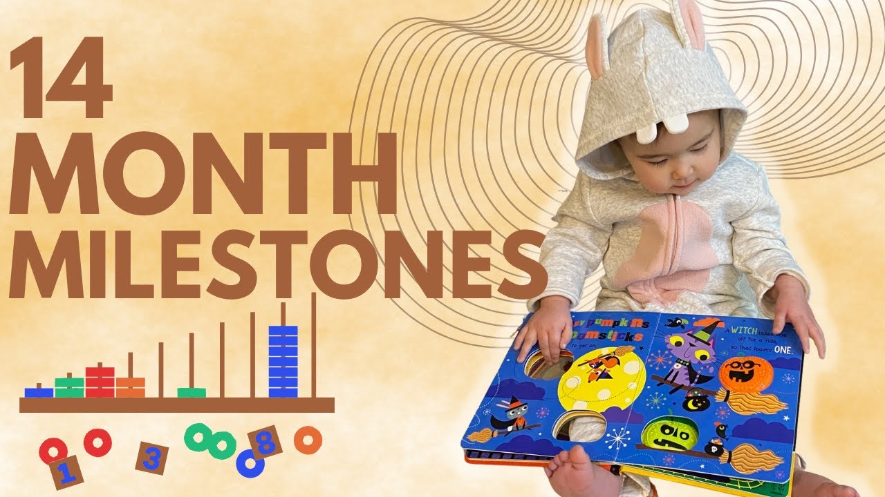 14 MONTH OLD DEVELOPMENTAL MILESTONES + ACTIVITIES | Research-Based Toddler Development Milestones