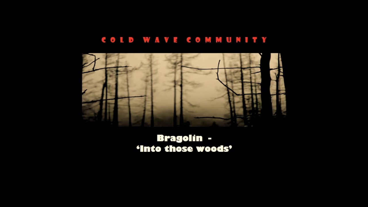 Bragolin -  Into those Woods