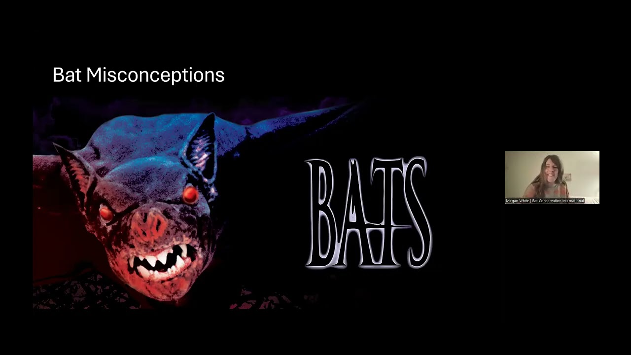 Gardening for Bats with Megan White of Bat Conservation International