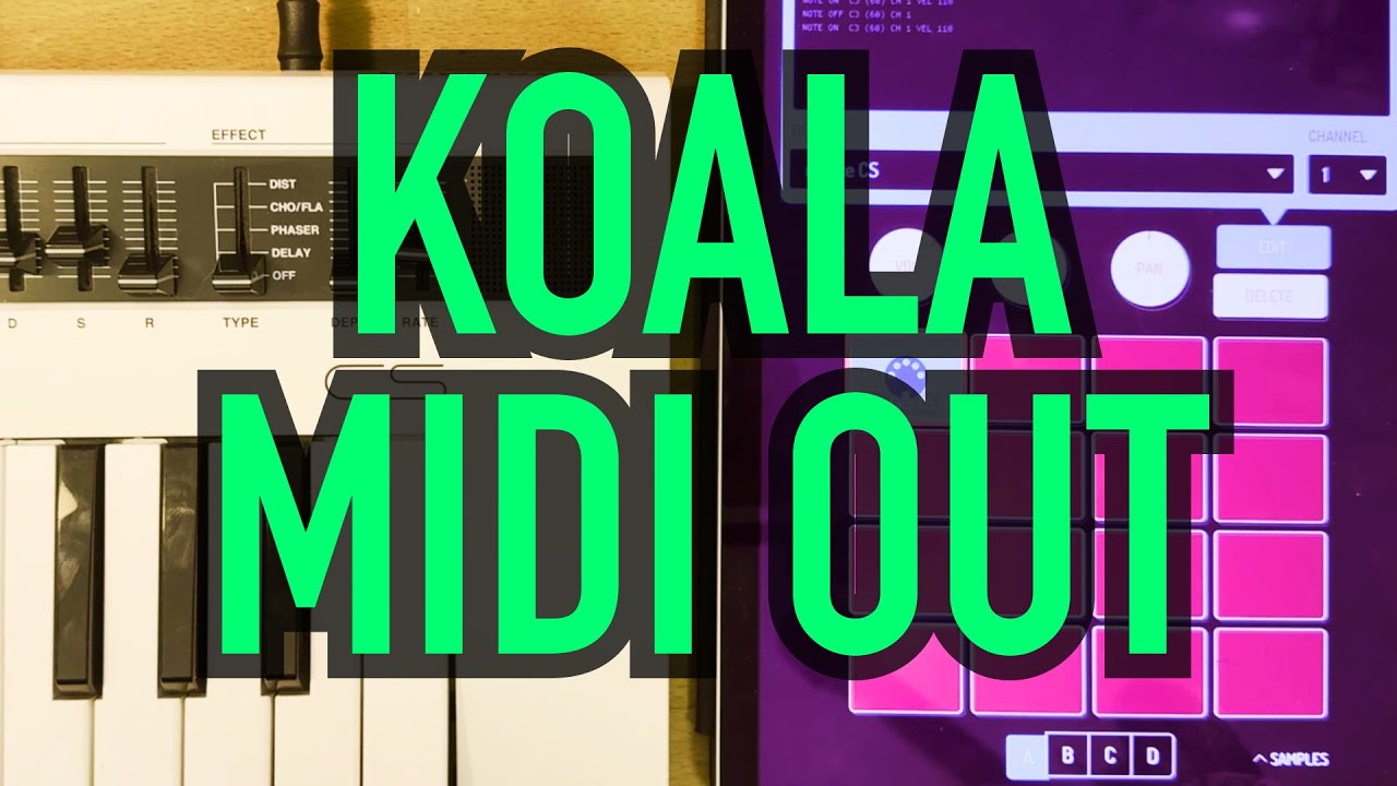 Учебное пособие по Koala Midi Out