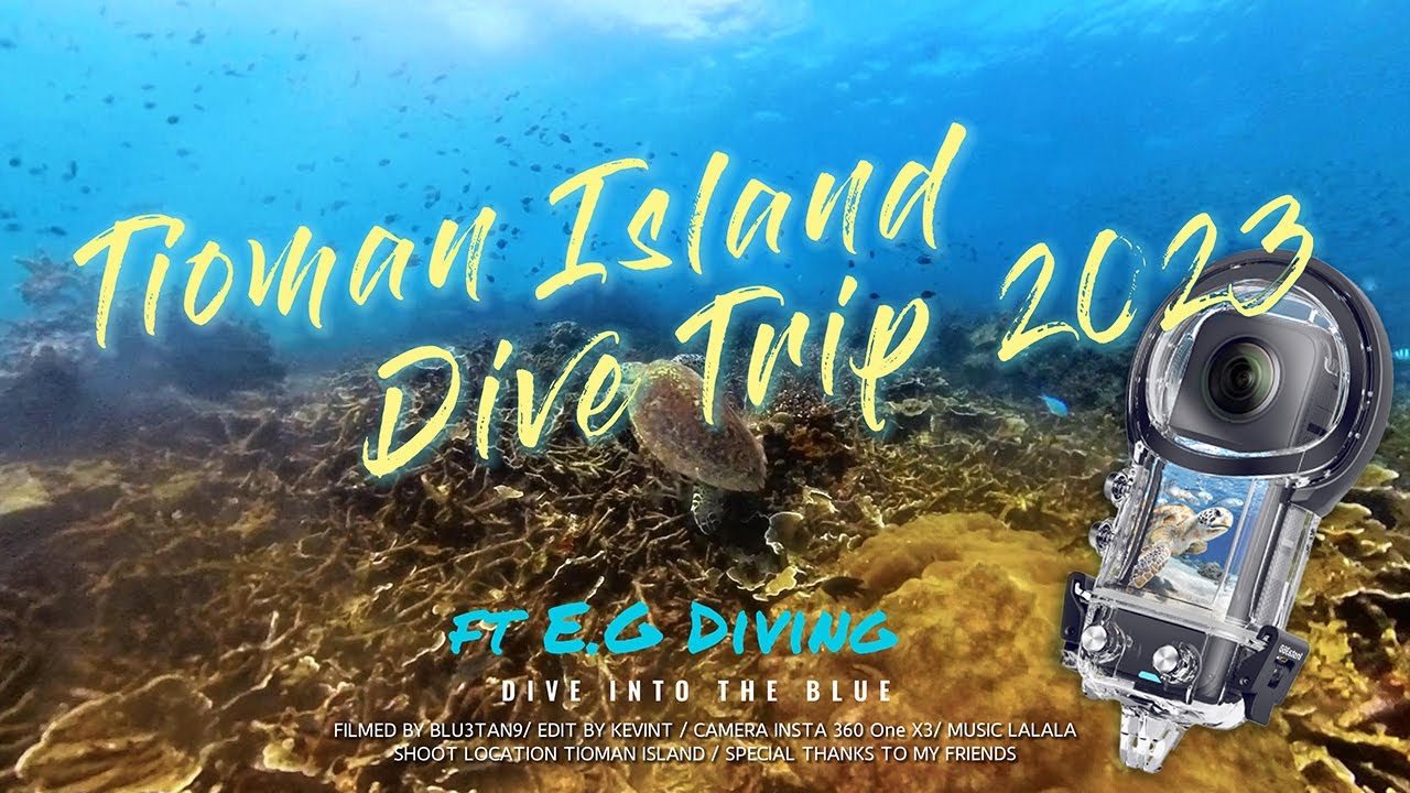 Insta360 One X3 Video Quality with Dive Case (27M Dive) - Tioman Island Malaysia