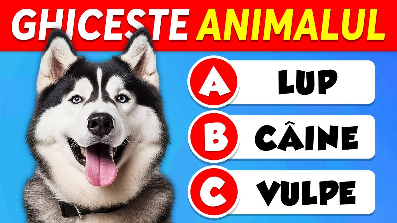 Ghicește 60 de ANIMALE...! 🐶🐱 De La UȘOR la IMPOSIBIL 🧠🤯