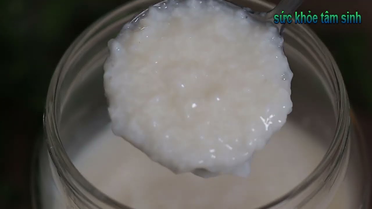 Cách Nuôi Cơm Mẻ và các Loại Giấm thành công khi bạn biết được điều này
