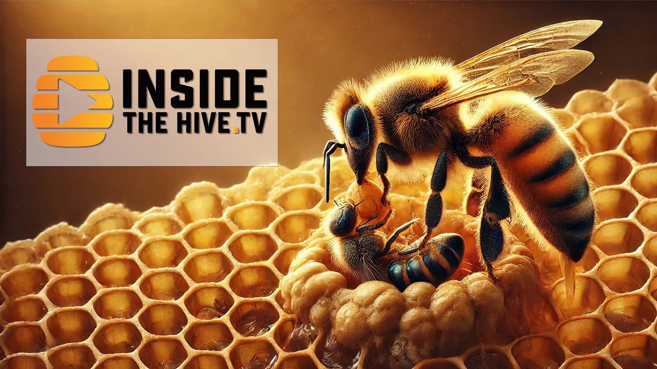 New Study Shows How Microbes Might Influence Honey Bees' Hygienic Behavior