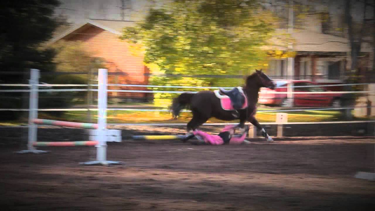 Tippumisia » Horse falls