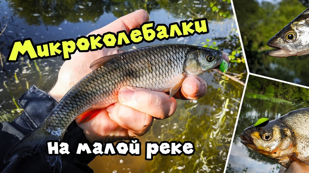 МИКРОКОЛЕБАЛКИ на малой реке. ЛЕЩ ГОЛАВЛЬ ЖЕРЕХ ловля на блесны Nories Weeper Рыбалка XUL