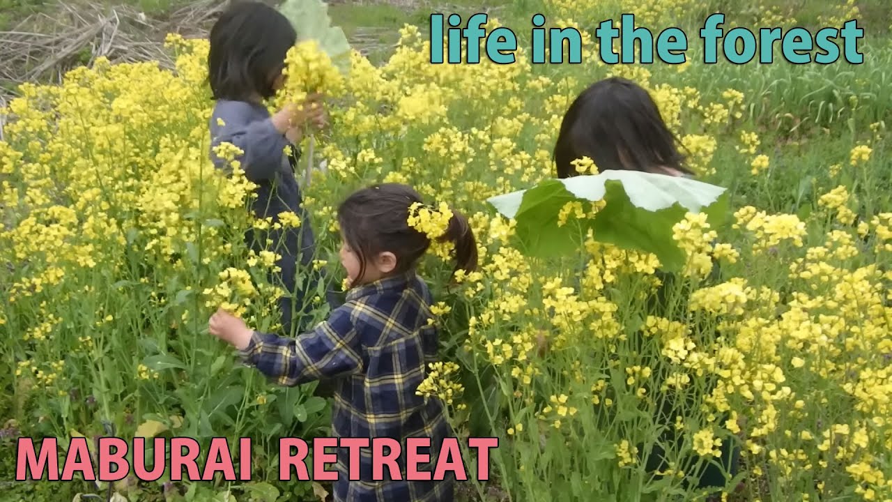 田起こし　ヨモギ餅　猪肉料理　放し飼い自然卵　山暮らし 　田舎暮らし　forest life　selfsufficient lifestyle　homestead　rice field