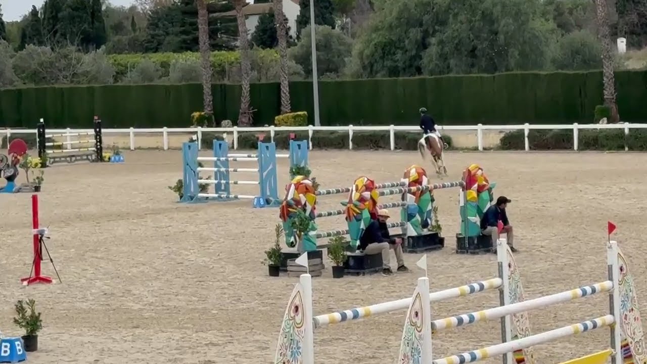 ERDOAN VAN DE NEERHEIDE Z - VALENCIA 2026 W1