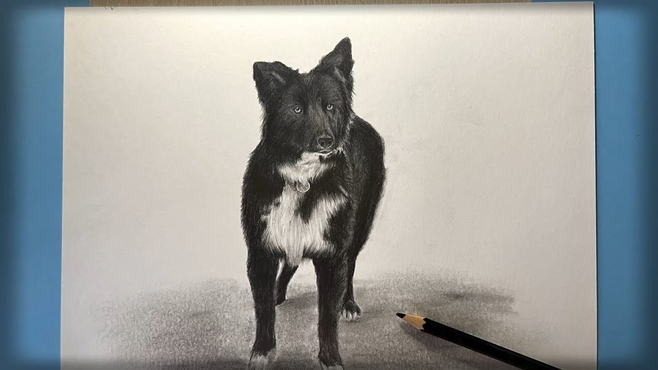 Cómo dibujar un Perro|paso o paso|Рисуем Собаку|dog