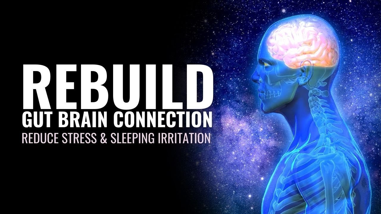 Rebuild Gut Brain Connection | Reduce Stress & Sleeping Irritation | Heal Digestive Tract Naturally