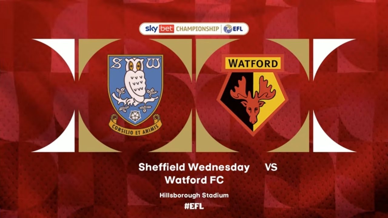Sheffield Wednesday vs Watford 1-1 Highlights Goals - EFL Championship 25/26