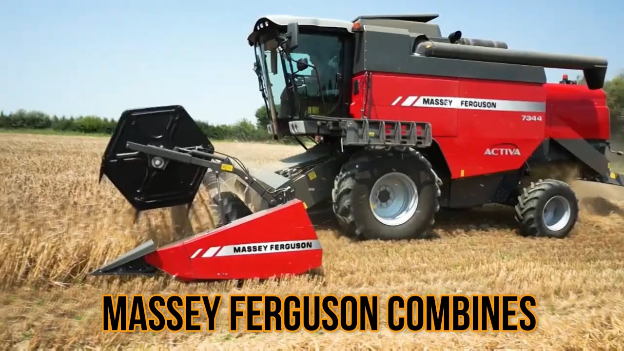 Massey Ferguson Combines  - Work For It