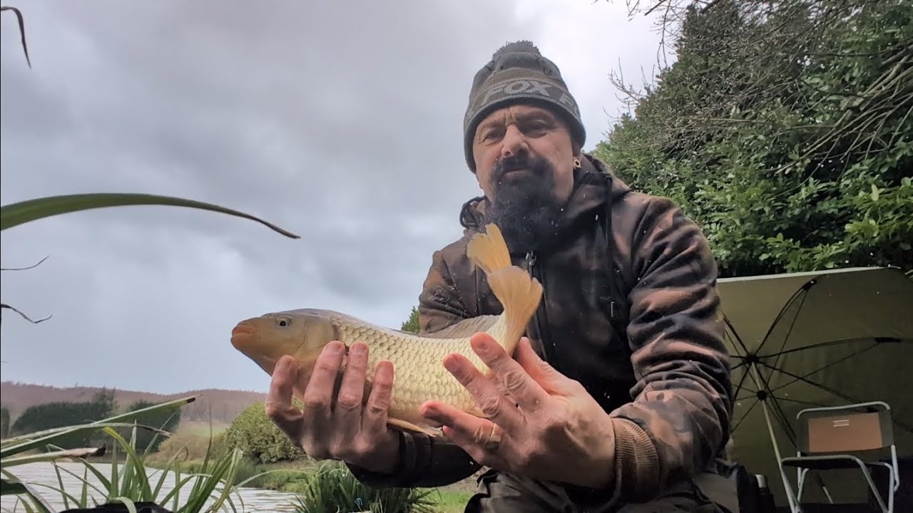 Last couple of fishing sessions..