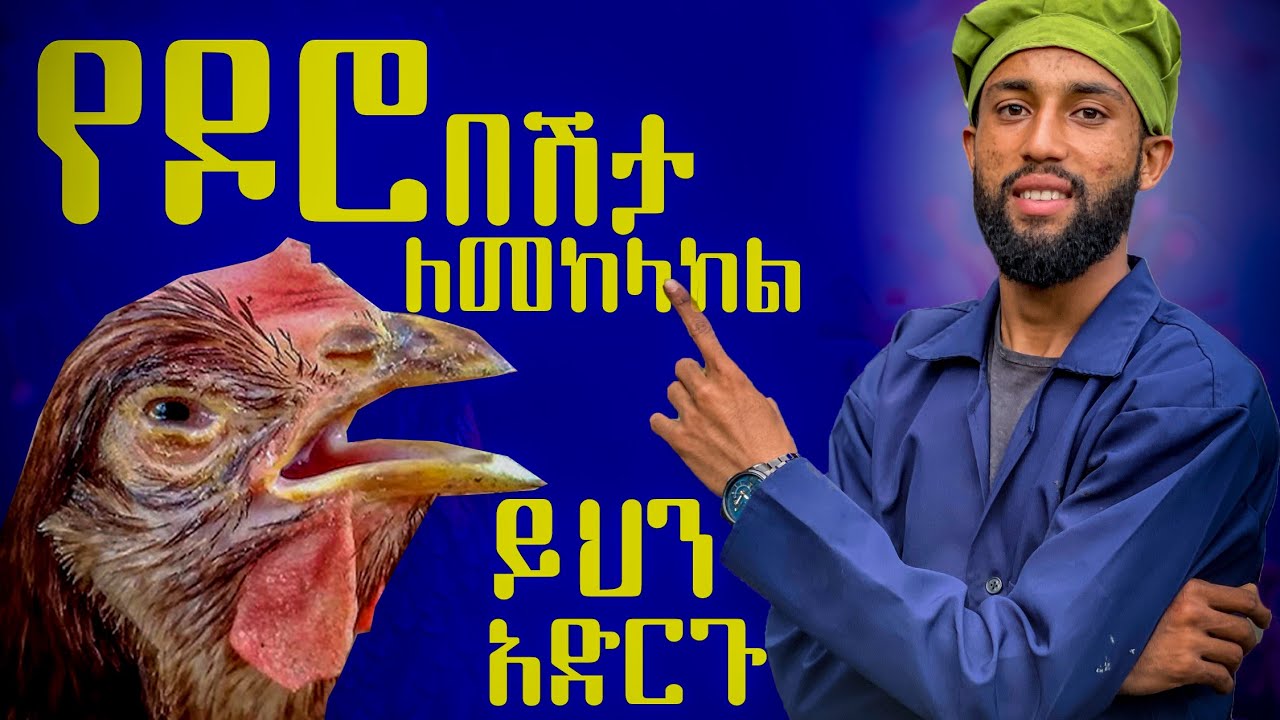 15 የዶሮ በሽታን ለመከላከል የሚረዱ ዘዴዎች |tips for prevent poultry disease form chicken house |