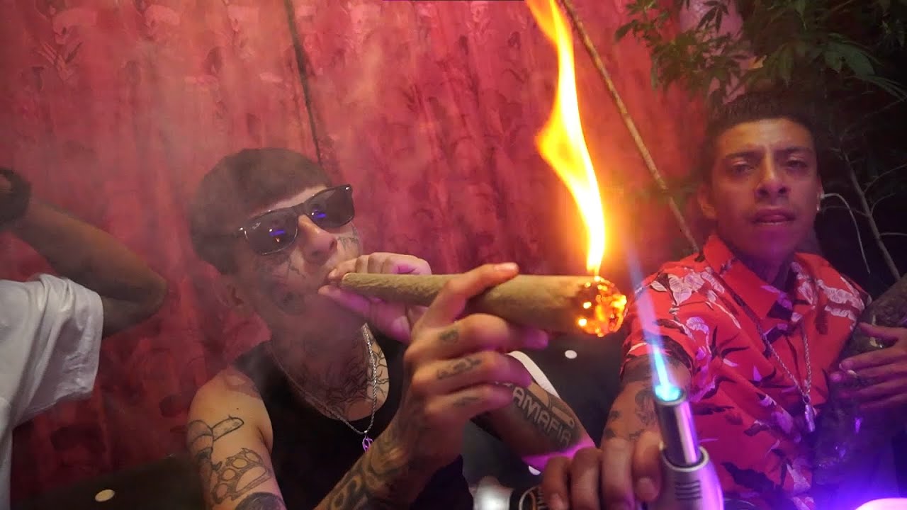 Walter Vargas - Fumando Como Jefe #FREEBAGRE (Video Oficial)