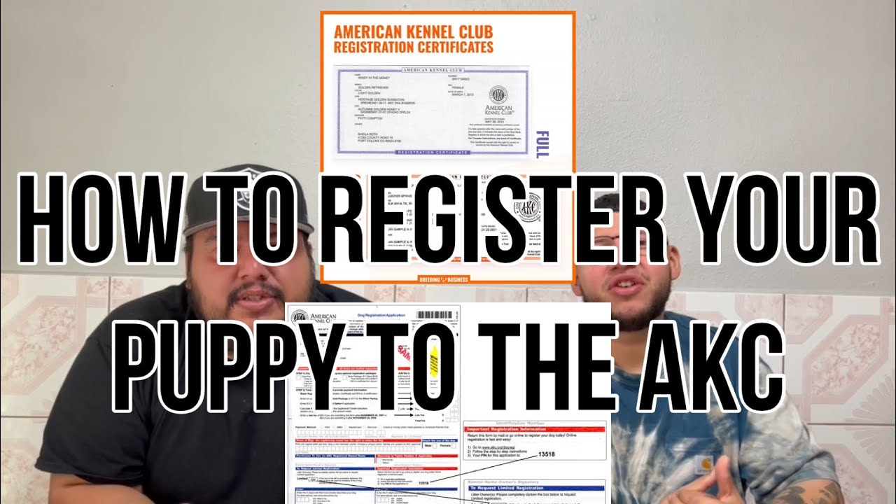How to register a puppy to the AKC (American kennel club) ￼