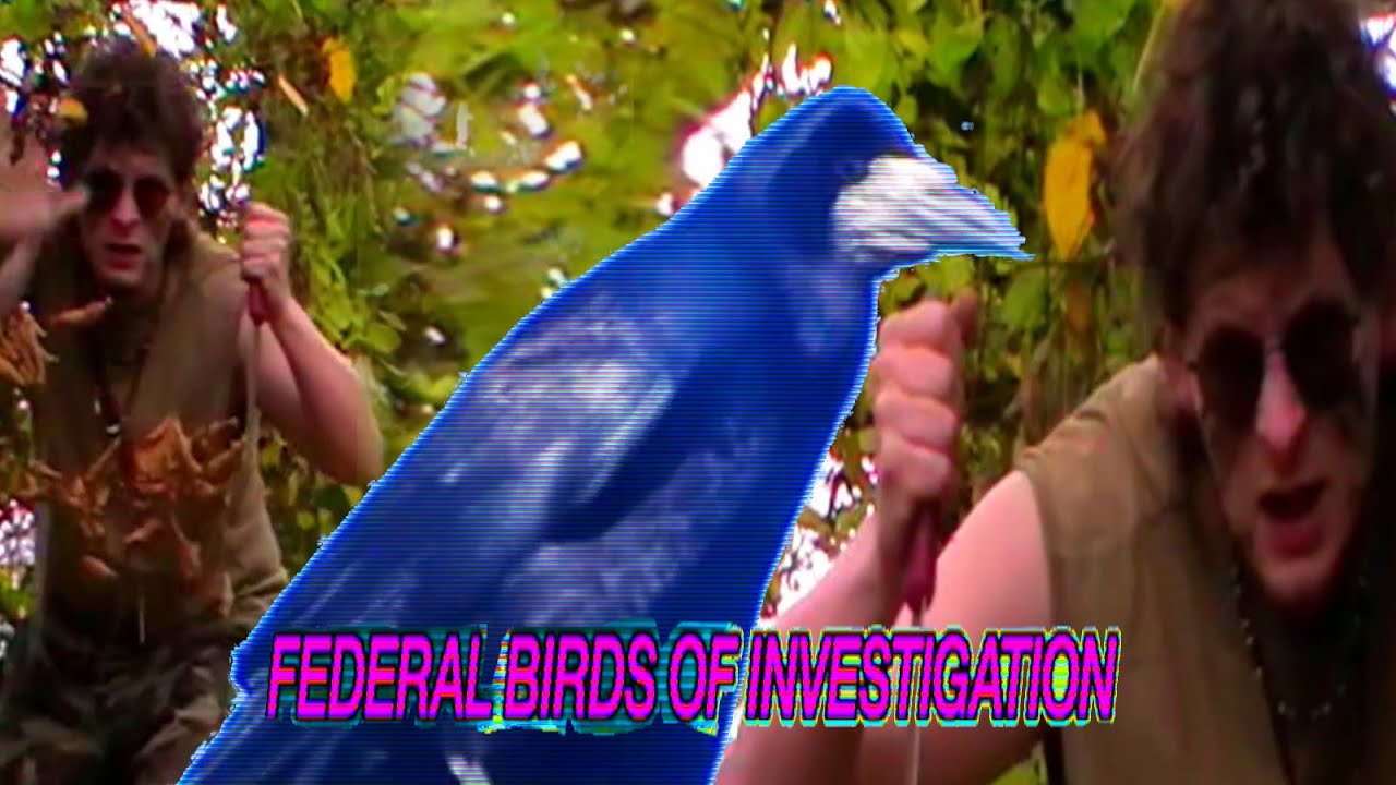 Randy Dragster - Federal Birds Of Investigation (official music video)