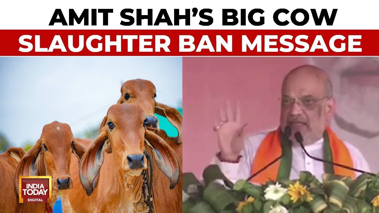 Will Ban Cow Slaughter And Smuggling: HM Amit Shah's Big 'Gau Raksha' Pitch | India Today News