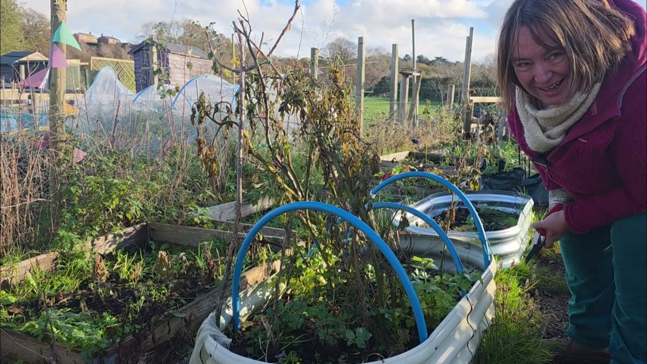Time to harvest the Oca! (If there is any?!?) Ep. 24