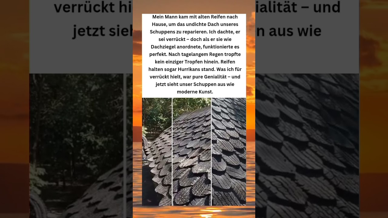 Von verr&uuml;ckt zu genial &ndash; das Reifendach, das alles &uuml;berstand