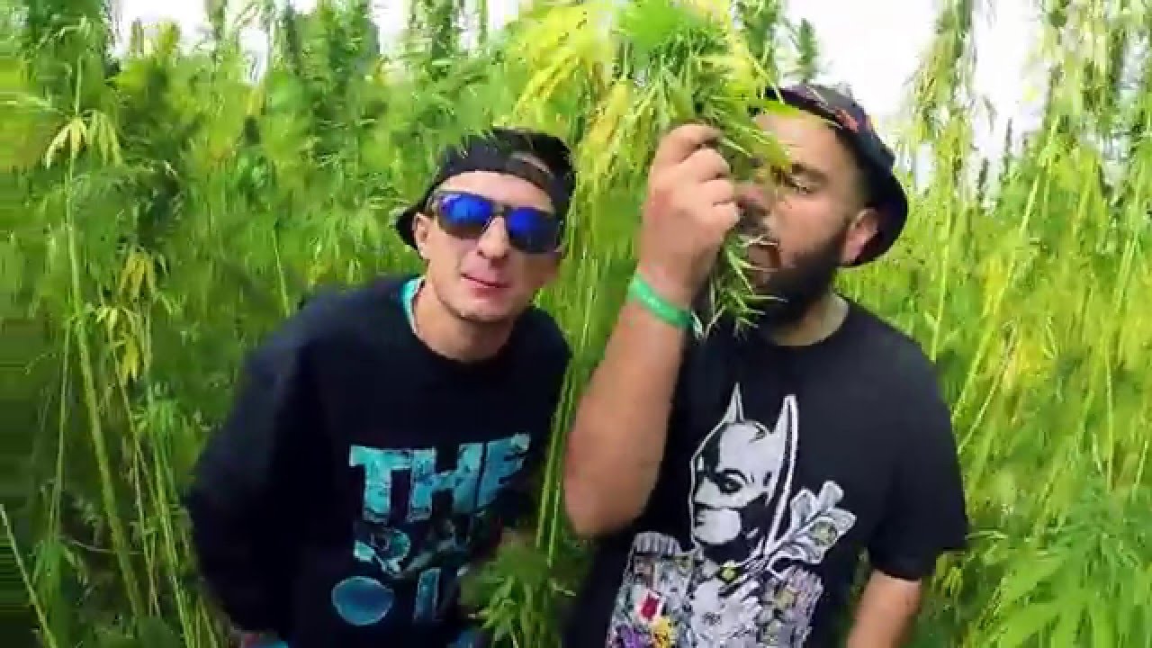 Comson - Ide na spota 2 feat. Dziabson (prod. Lion Riddims)
