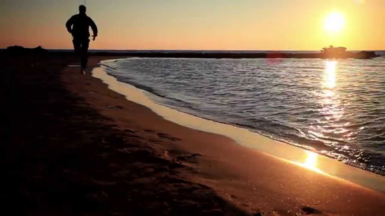 Clip 