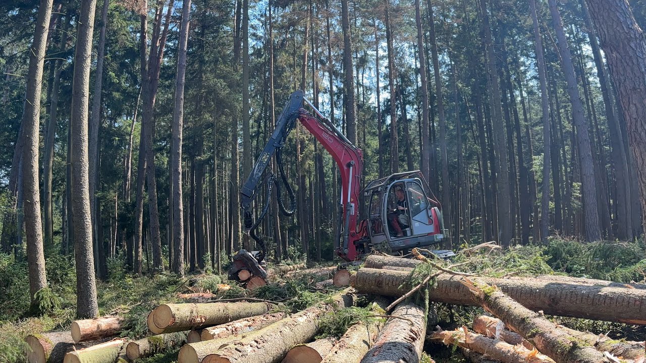 Neuson 12002 mit Logmax 5000 im Einsatz