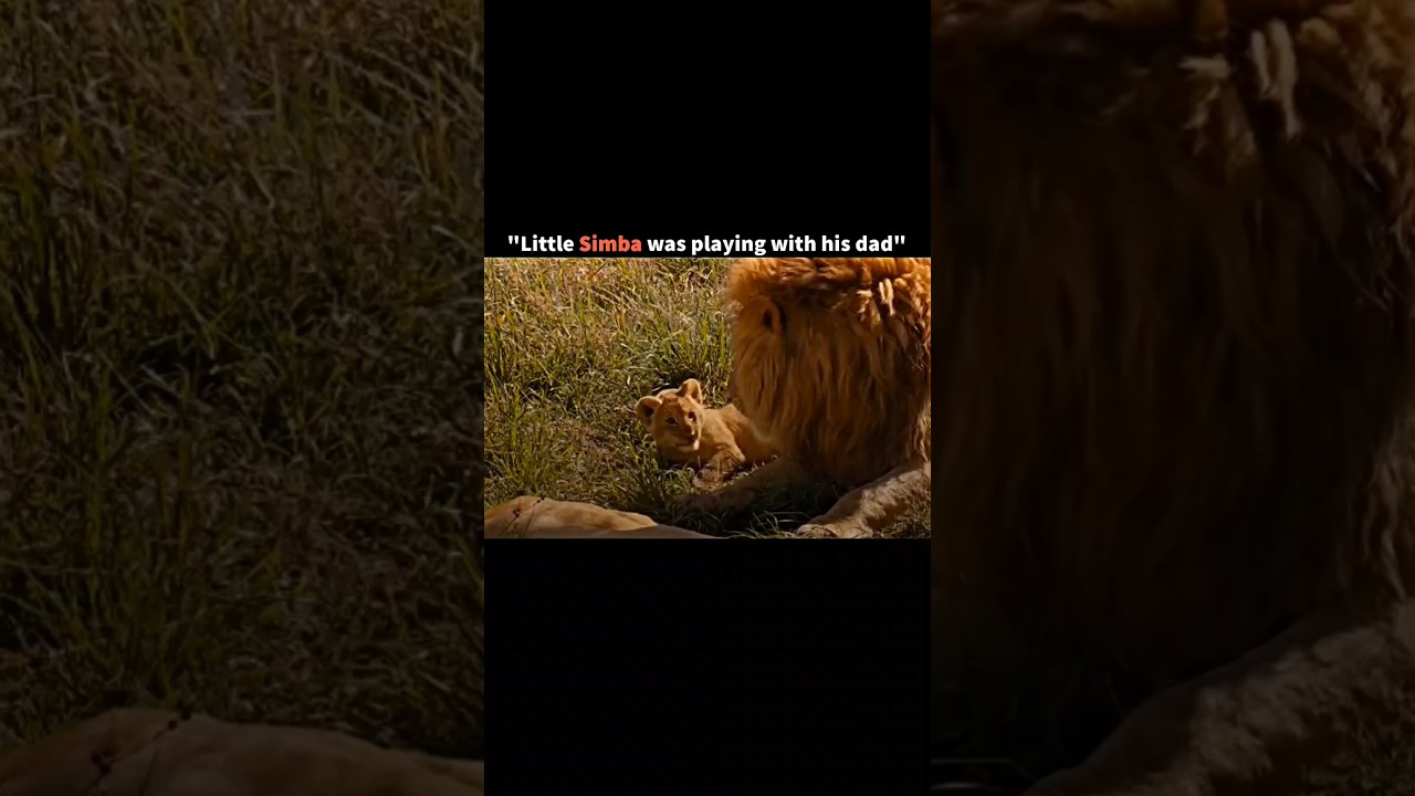The greatest revenge by lion in the history #viral #shorts #youtube #video