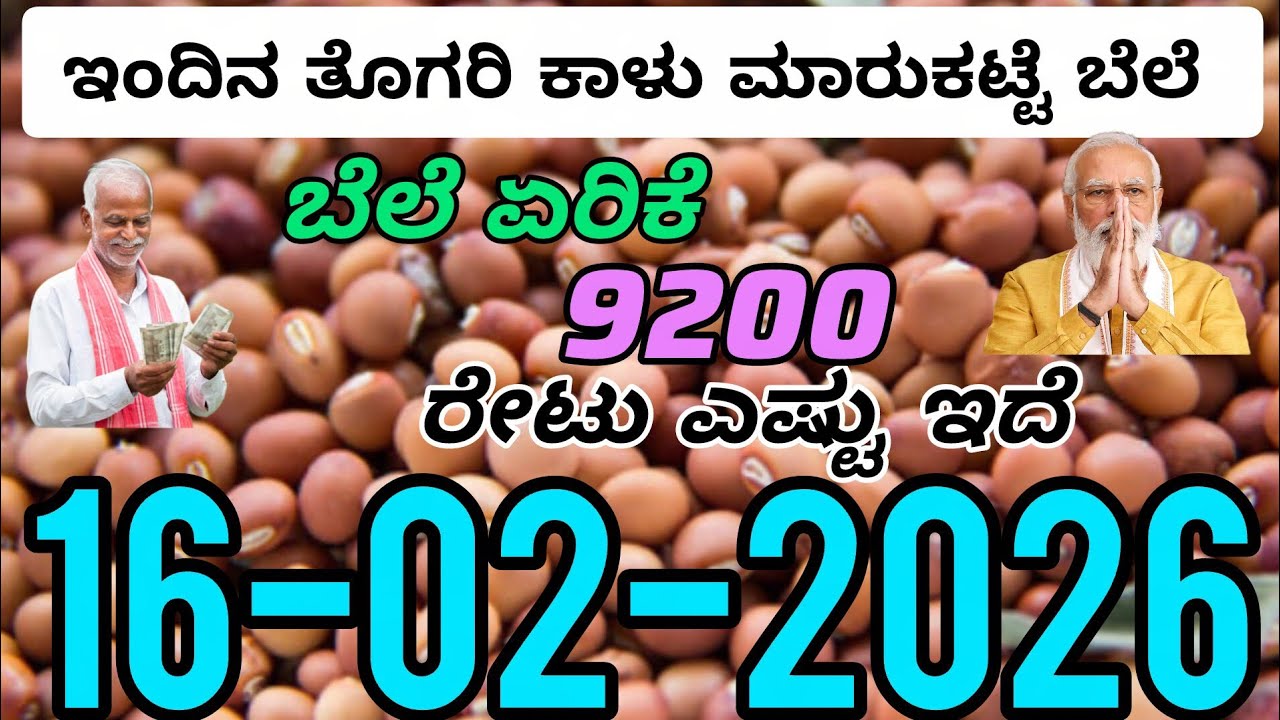 ತೊಗರಿ ಕಾಳು ಮಾರುಕಟ್ಟೆ ಬೆಲೆ  16-02-2026 #todaymarket #agriculture #togari  #oninratetoday 
