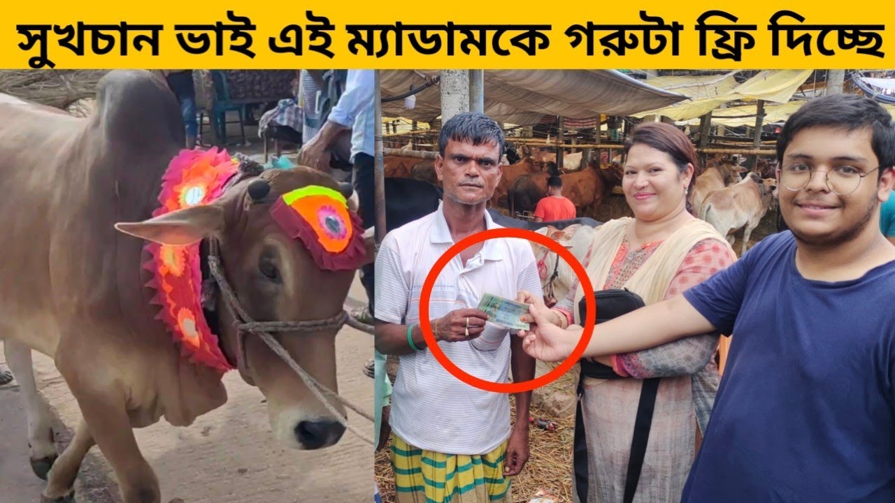 গাবতলী হাটের ভাইরাল সুখচান বেপারী ভাই এই ম্যাডামকে গরুটা ফ্রি দিচ্ছে?