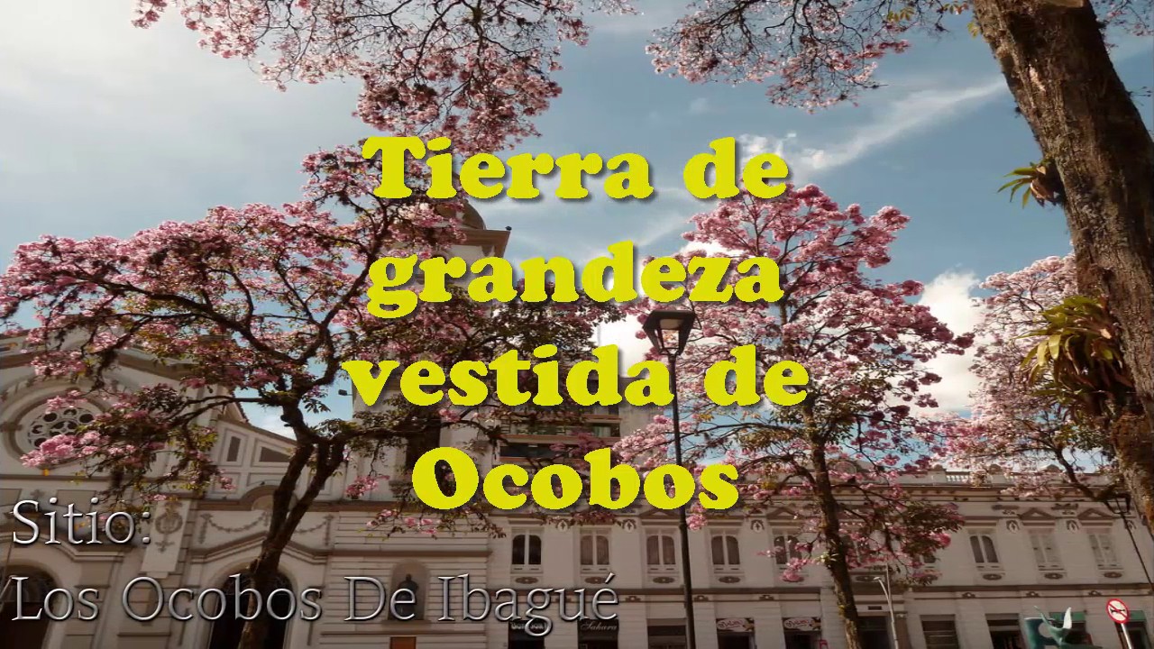 HIMNO DE IBAGU&Eacute;-A