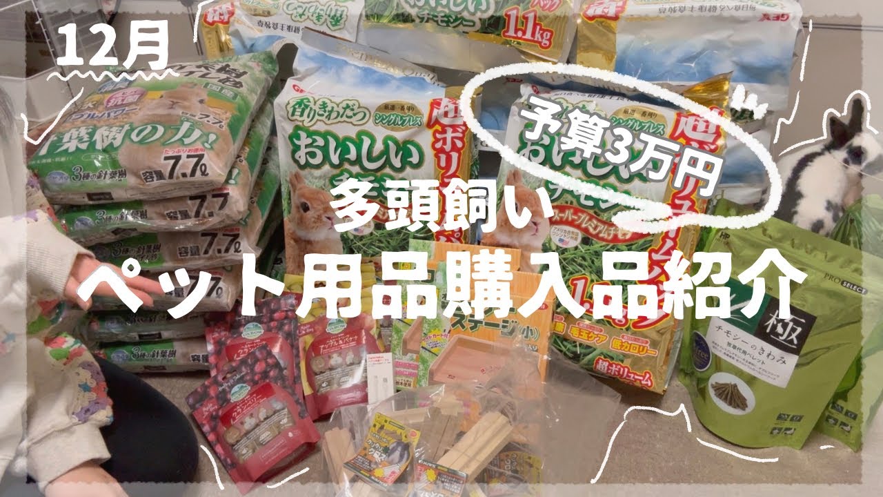 【多頭飼い】月に1度のペット用品の爆買い！購入品紹介🛍️12月編