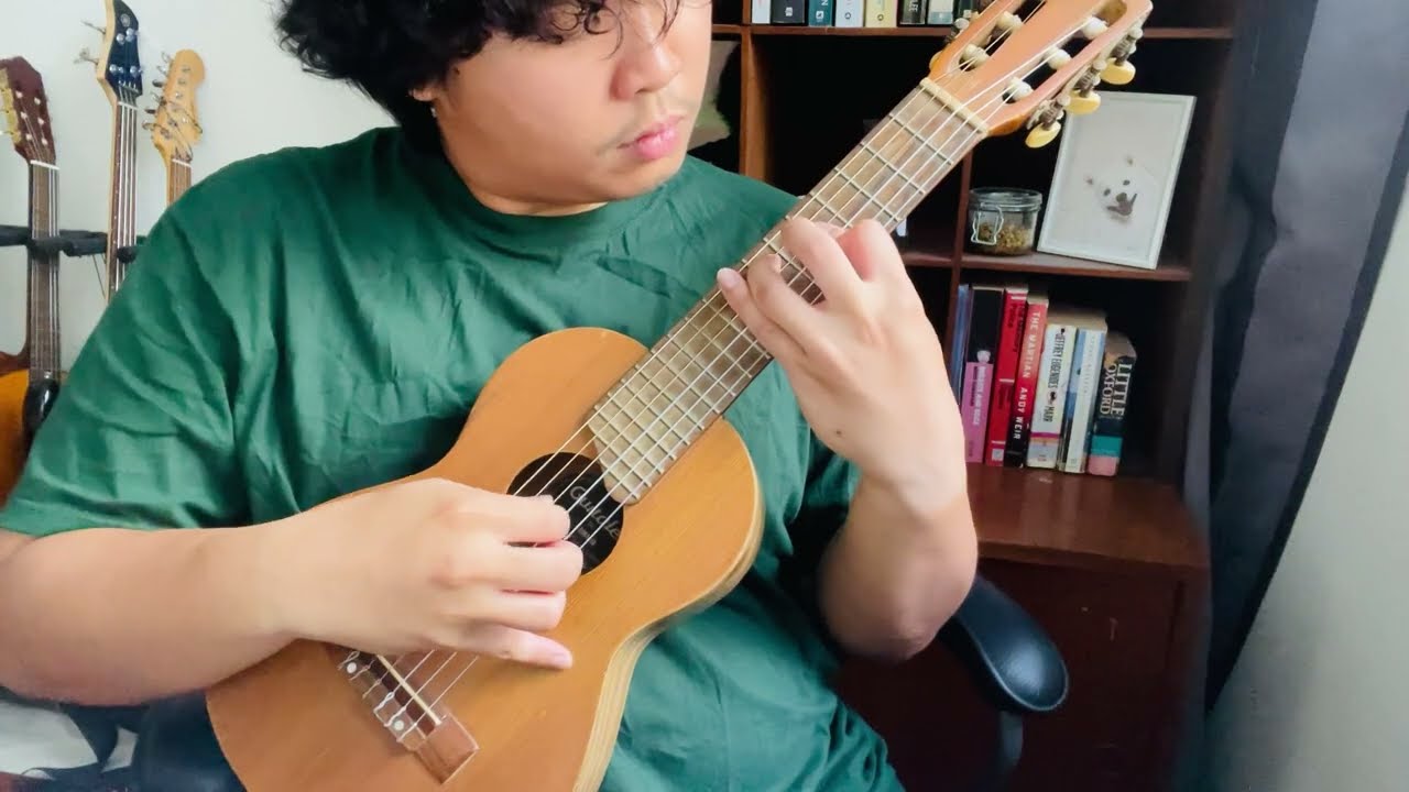 not a lot just forever // guitarlele // half song