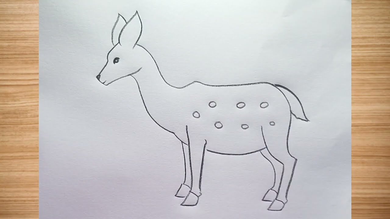 How to draw deer drawing easy step by step || deer drawing@DrawingTalent 